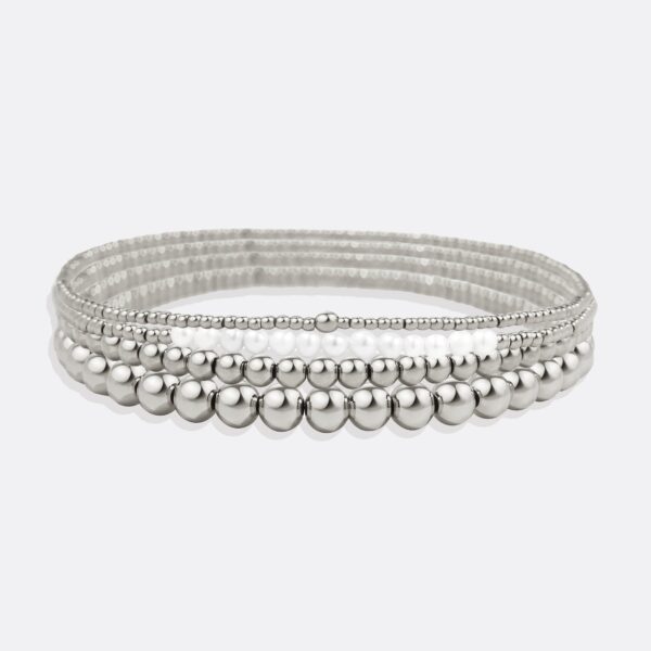 AG9A0589_-silver