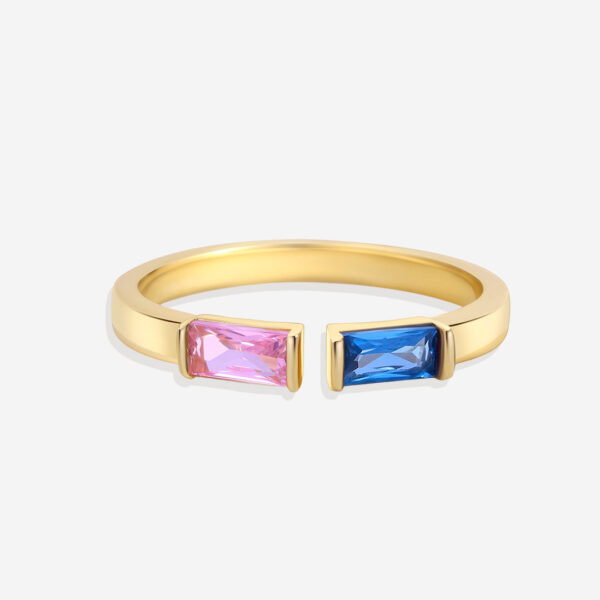 AdjustableDoubleBirthstoneBandRing_1