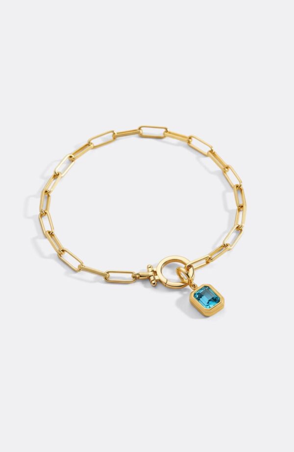 BaguetteBirthstoneCharmonMintPaperclipBraceletpdp1DEC.65padded