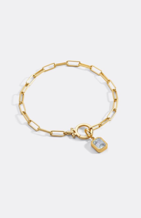 BaguetteBirthstoneCharmonMintPaperclipBraceletpdp1JUN_180fd349-3977-4466-9da8-2ec16acef5d6.65padded