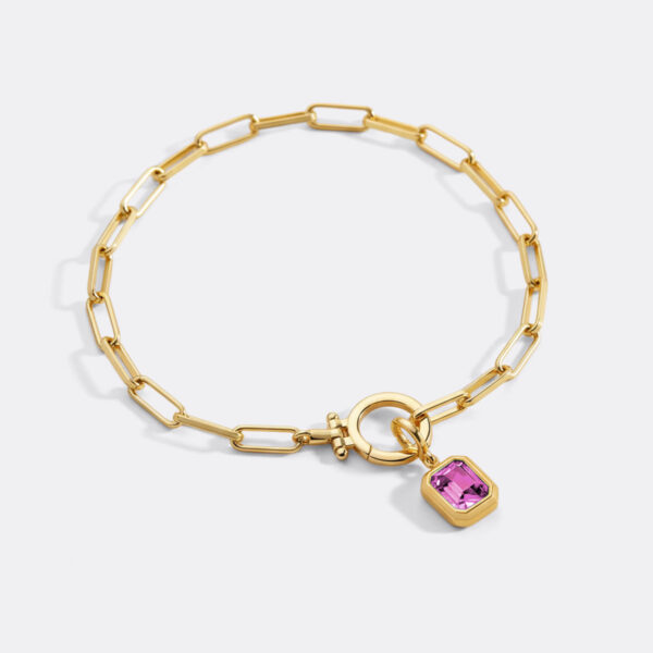BaguetteBirthstoneCharmonMintPaperclipBraceletpdp1OCT