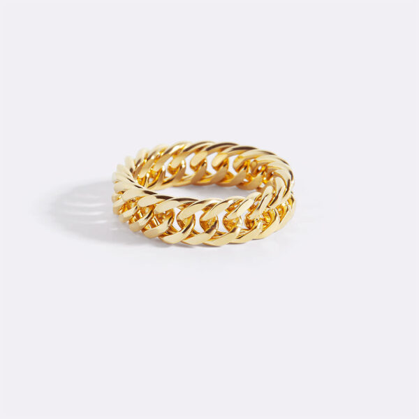 CurbChainRing_2