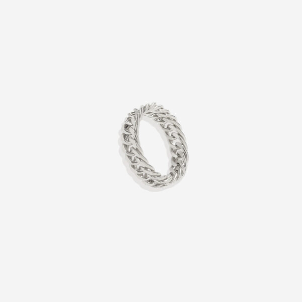 CurbChainRing_4silver