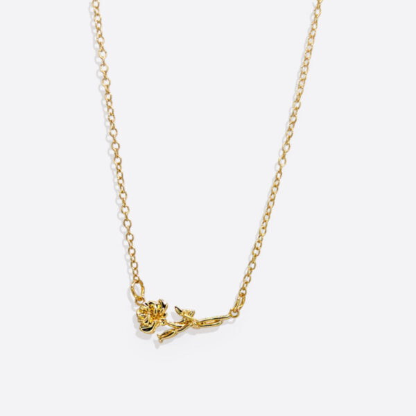 DaintyBirthFlowerNecklaceJuneRose