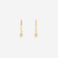 DaintyDiamondCharmEarrings_1