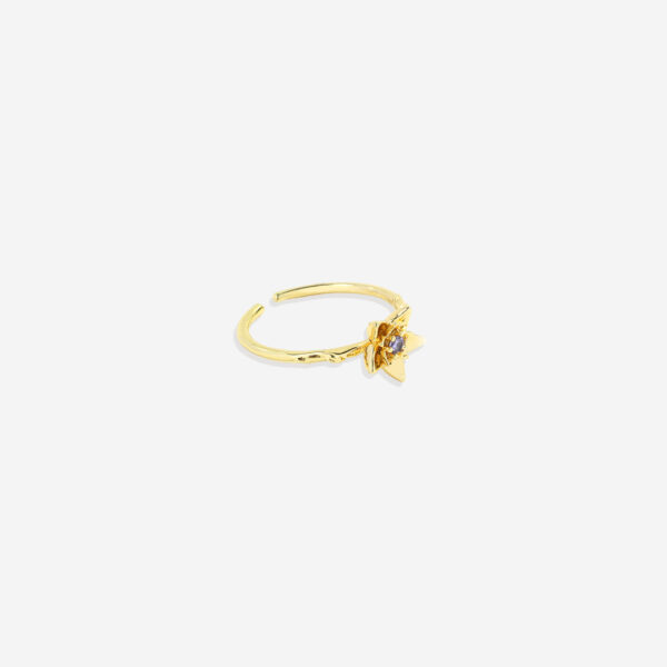 DaintyGoldBirthFlowerRing_17