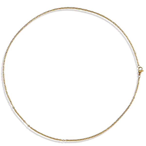Dainty Cable Chain Necklace