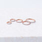 Eternity_Crystal_Cartilage_Hoops-794x794-6-RGold