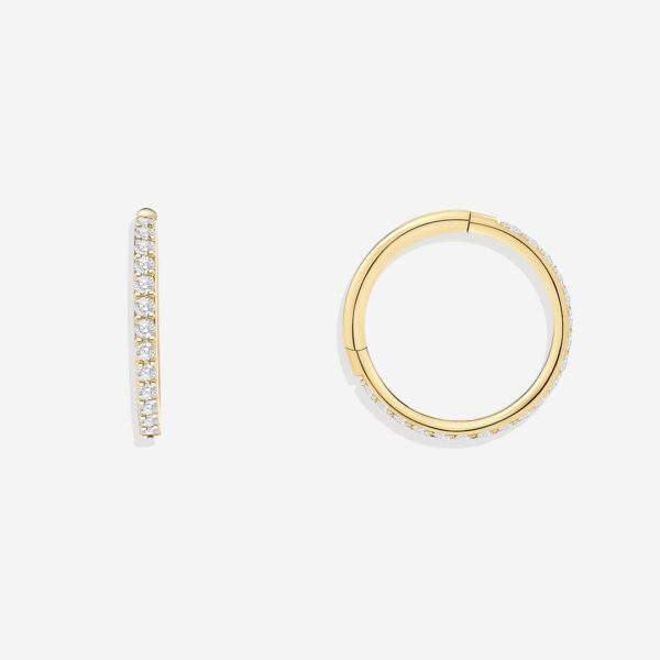 Eternity_Crystal_Cartilage_Hoops___16g_Photography_1 Eternity_Crystal_Cartilage_Hoops___16g_Photography_1