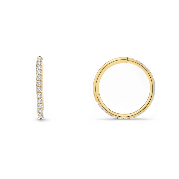 Eternity_Crystal_Cartilage_Hoops___16g_Photography_1_ecomm Eternity_Crystal_Cartilage_Hoops___16g_Photography_1_ecomm