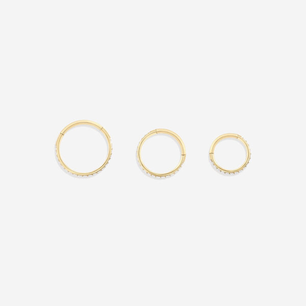 Eternity_Crystal_Cartilage_Hoops___16g_Photography_2 Eternity_Crystal_Cartilage_Hoops___16g_Photography_2