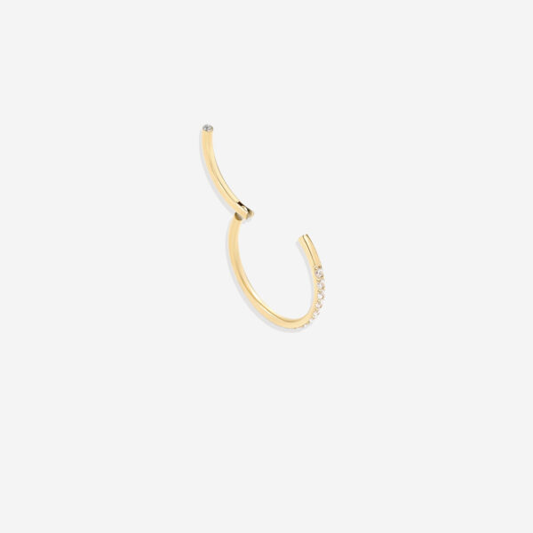 Eternity_Crystal_Cartilage_Hoops___16g_Photography_3 Eternity_Crystal_Cartilage_Hoops___16g_Photography_3