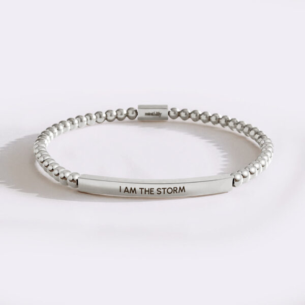 IAmTheStormsilversilver