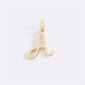 ML-Cursive-Initial-Charm-02