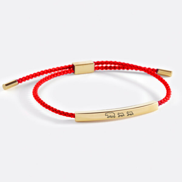 Mama_Bear_Her_Baby_Bears_Engraved_cub_2_red_gold