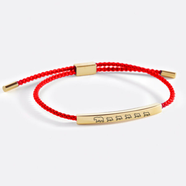 Mama_Bear_Her_Baby_Bears_Engraved_cub_5_red_gold