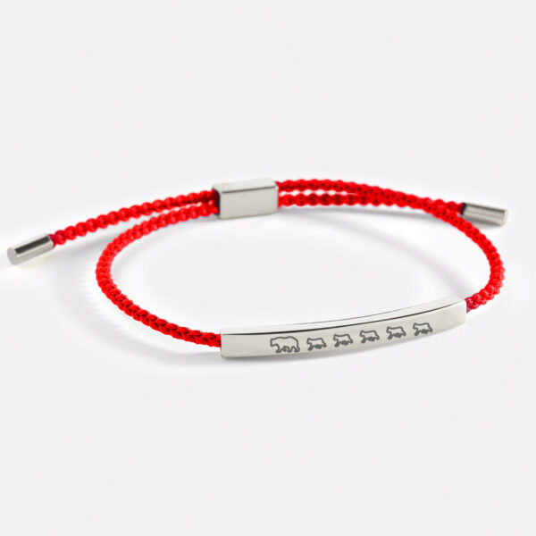 Mama_Bear_Her_Baby_Bears_Engraved_cub_5_red_silver