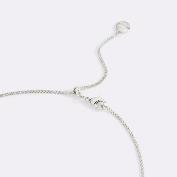 asilver asilver