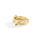 Linked Statement Fidget Rings